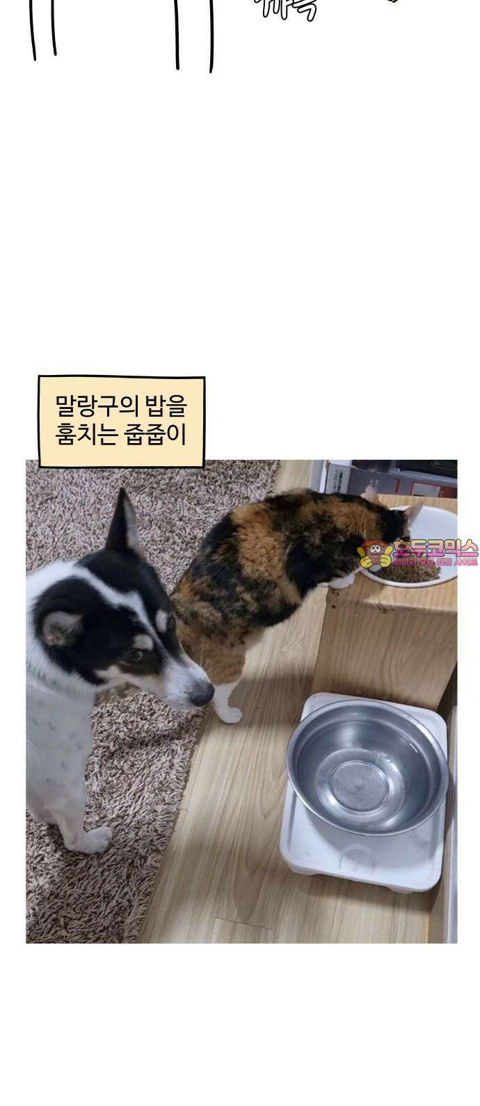 노곤하개 쇼츠 똑똑한 말랑구 15