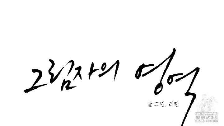 그림자의 영역 46화 12