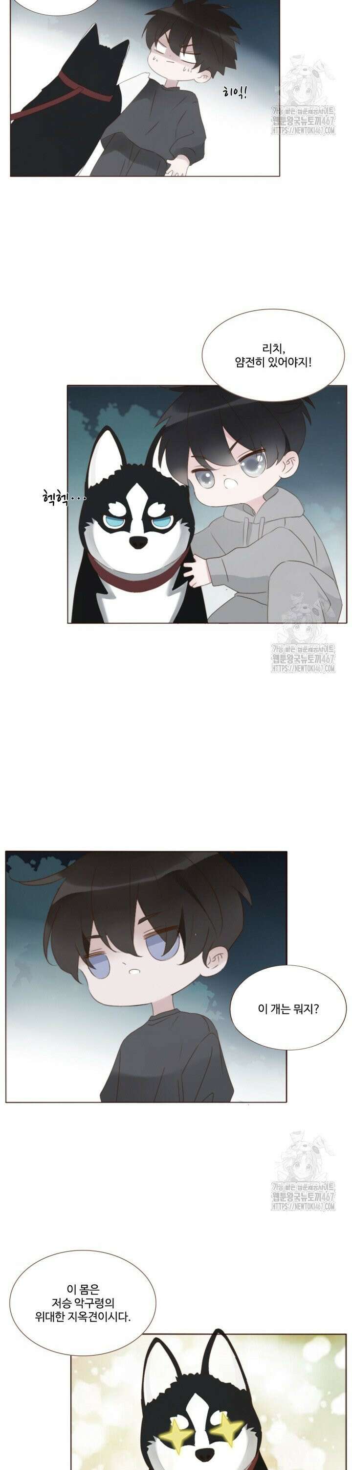 완벽한 개새끼 67화 2