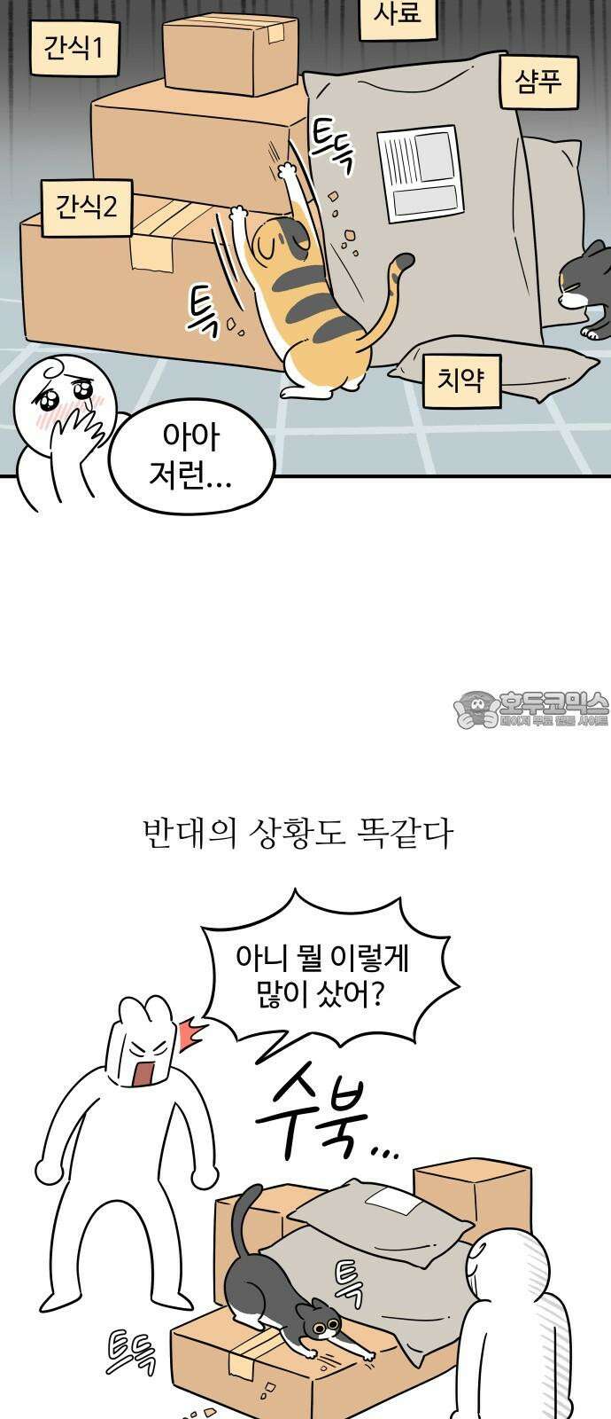 노곤하개 쇼츠 물고기가 좋은 강아지 3