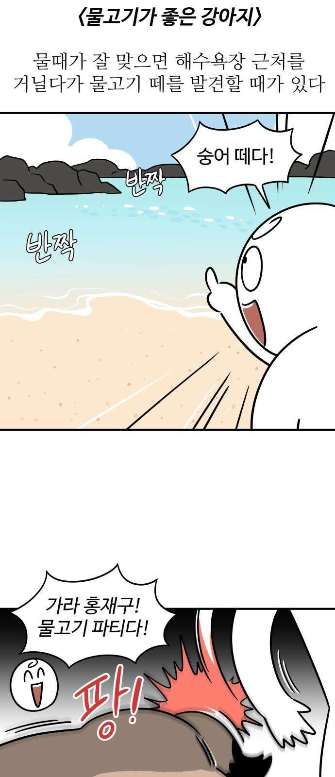 노곤하개 쇼츠 물고기가 좋은 강아지 5