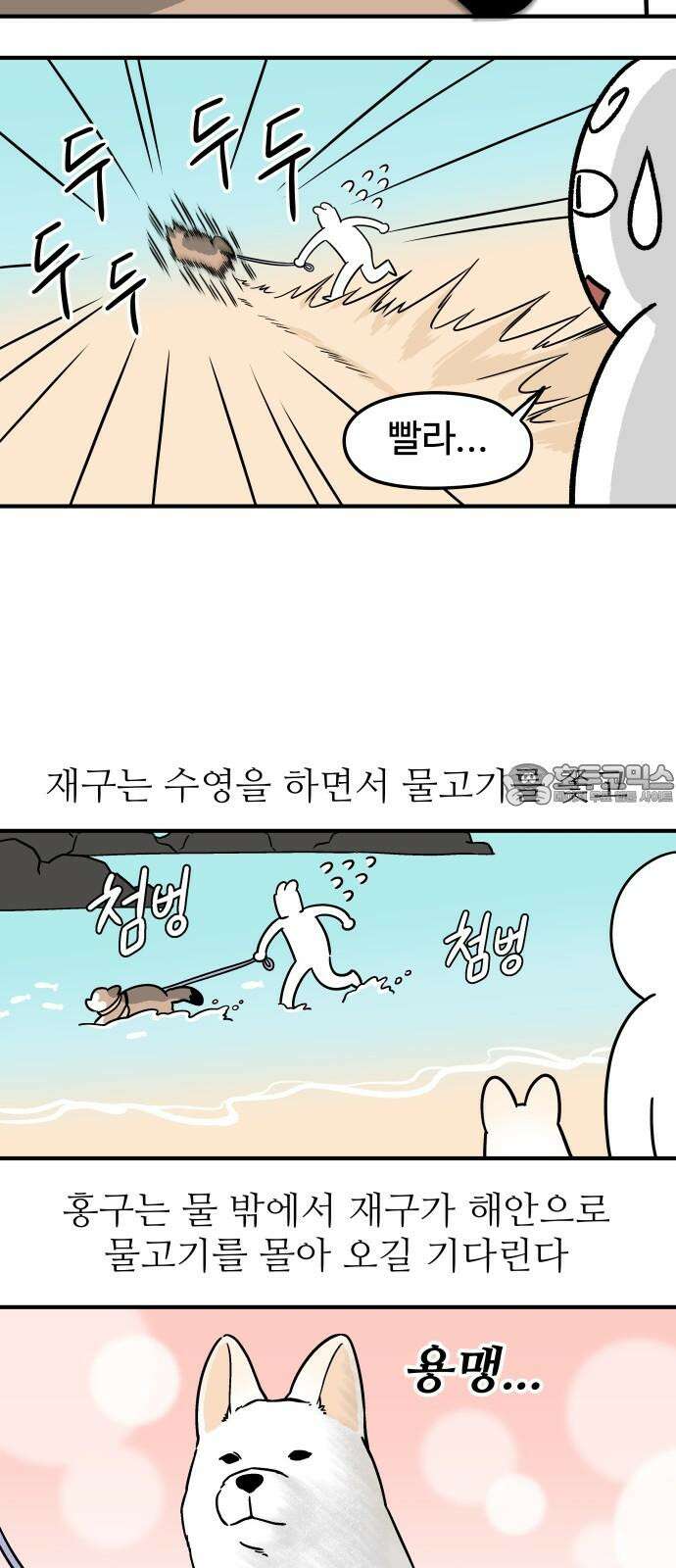노곤하개 쇼츠 물고기가 좋은 강아지 6