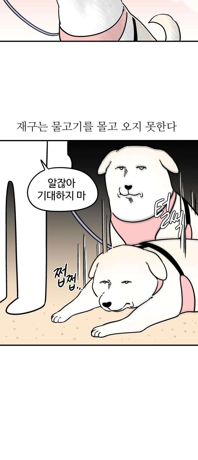 노곤하개 쇼츠 물고기가 좋은 강아지 7