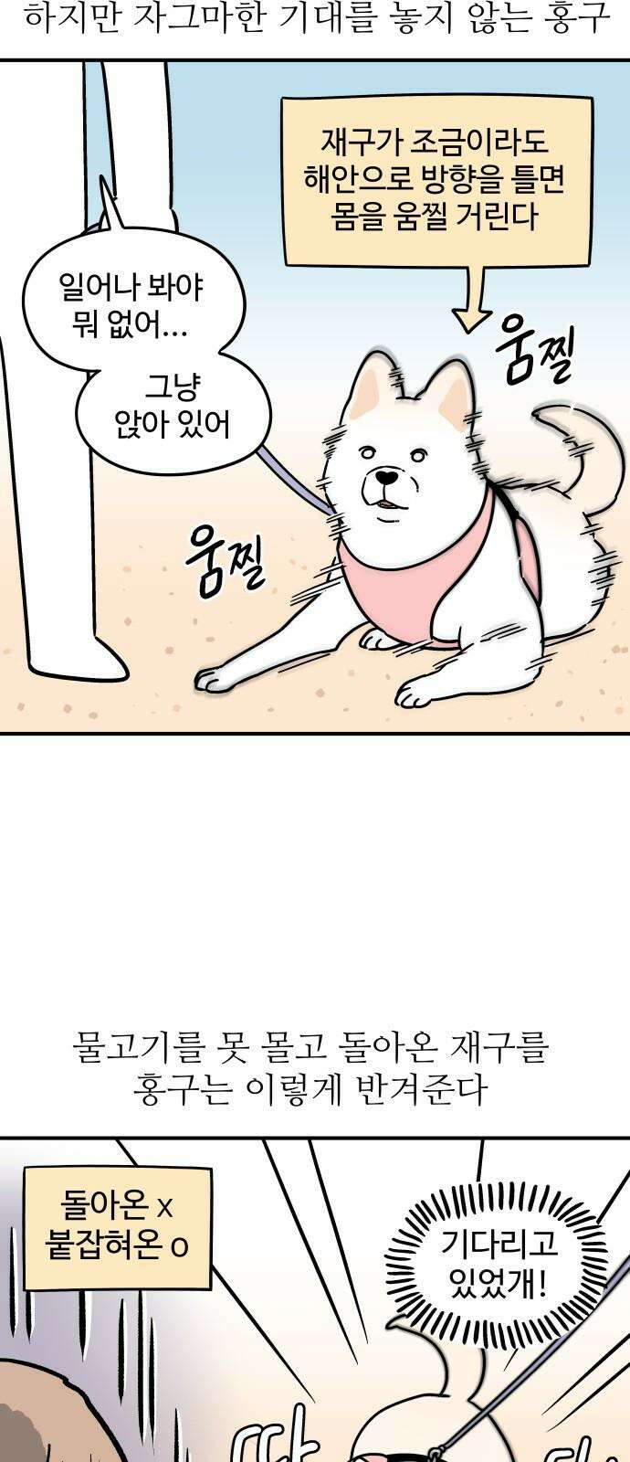 노곤하개 쇼츠 물고기가 좋은 강아지 8