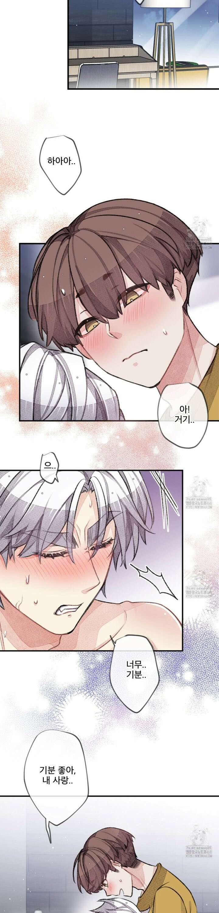 미스터 베타 73화 15