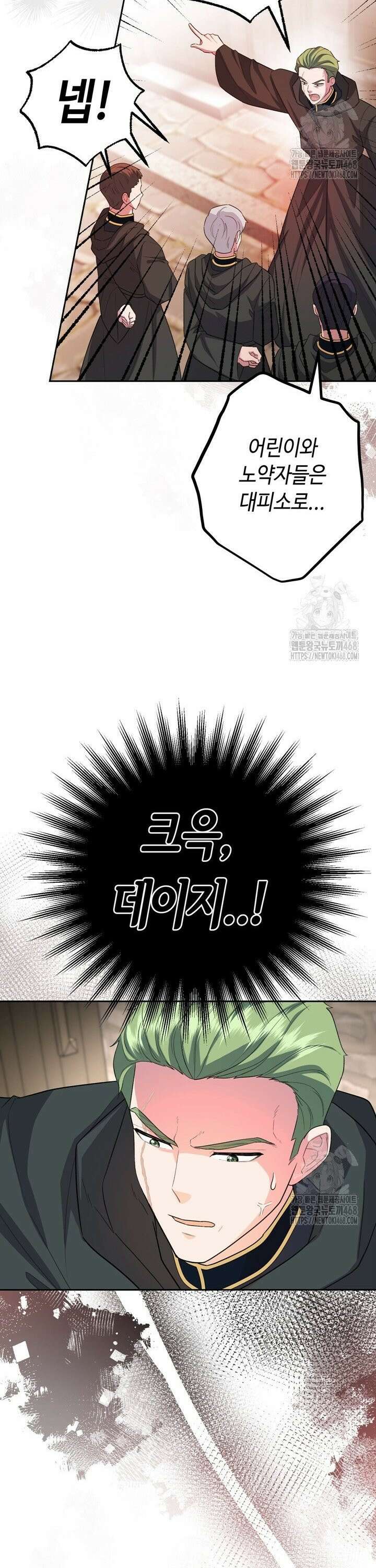 몰락한 왕녀에게는 회귀가 필요합니다 13화 11