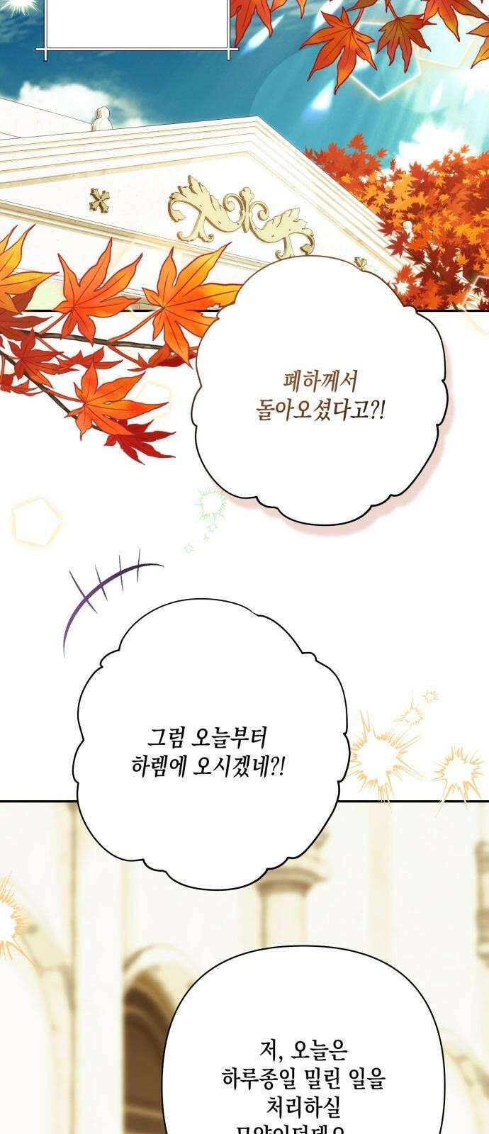 하렘의 남자들 196화 31