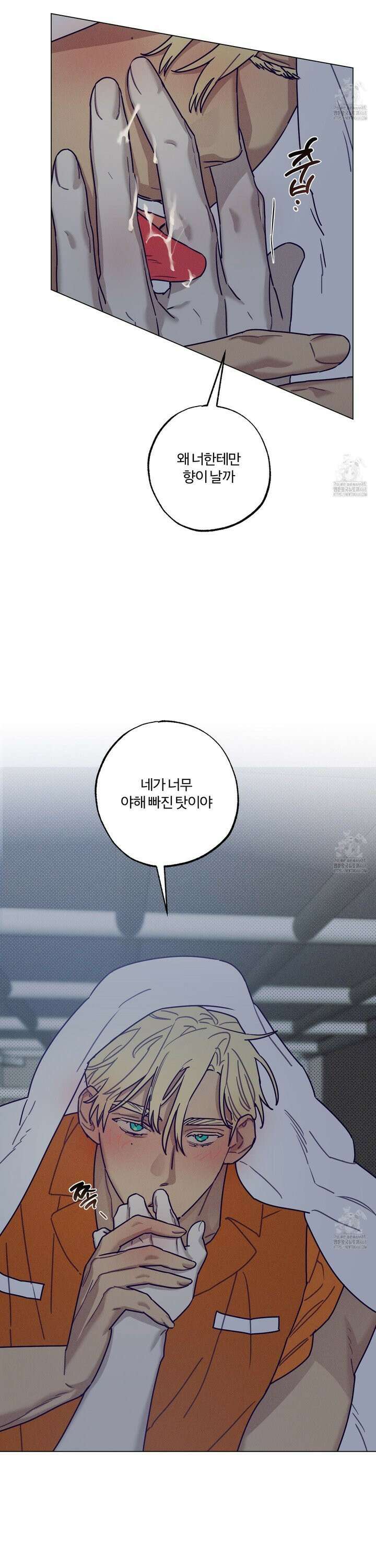 프리즌 블랙퍼스트 38화 5