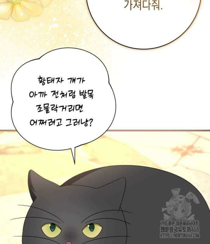 첫사랑은 원래 그런 법이랍니다, 전하 9화 146