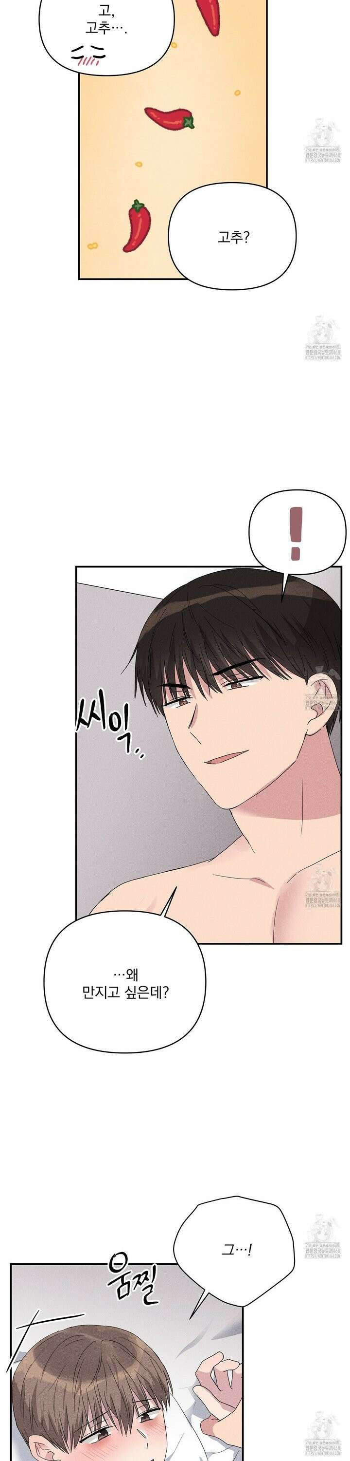 치치 시리즈 51화 12