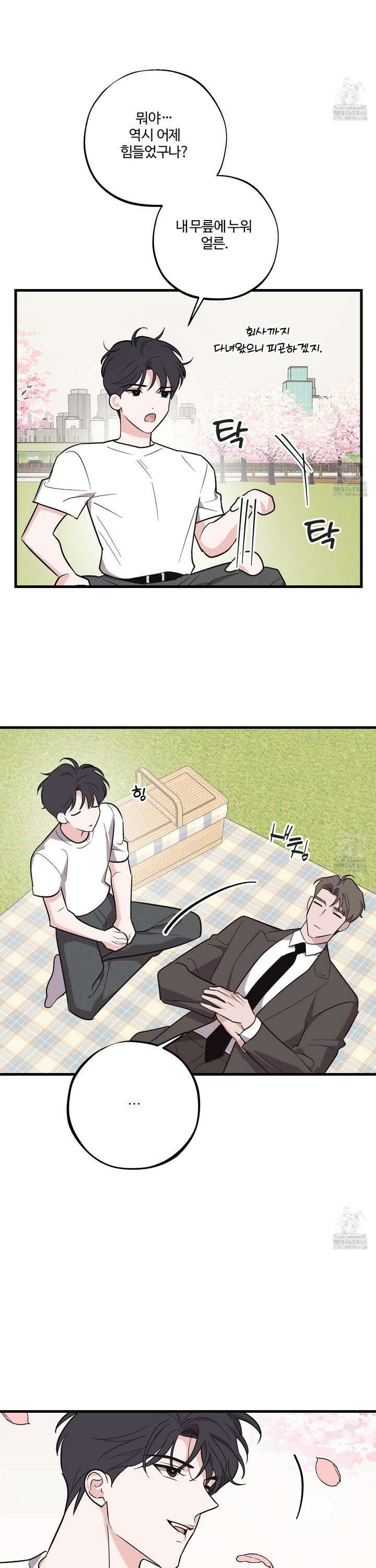 임시 연애 경보 23화 11