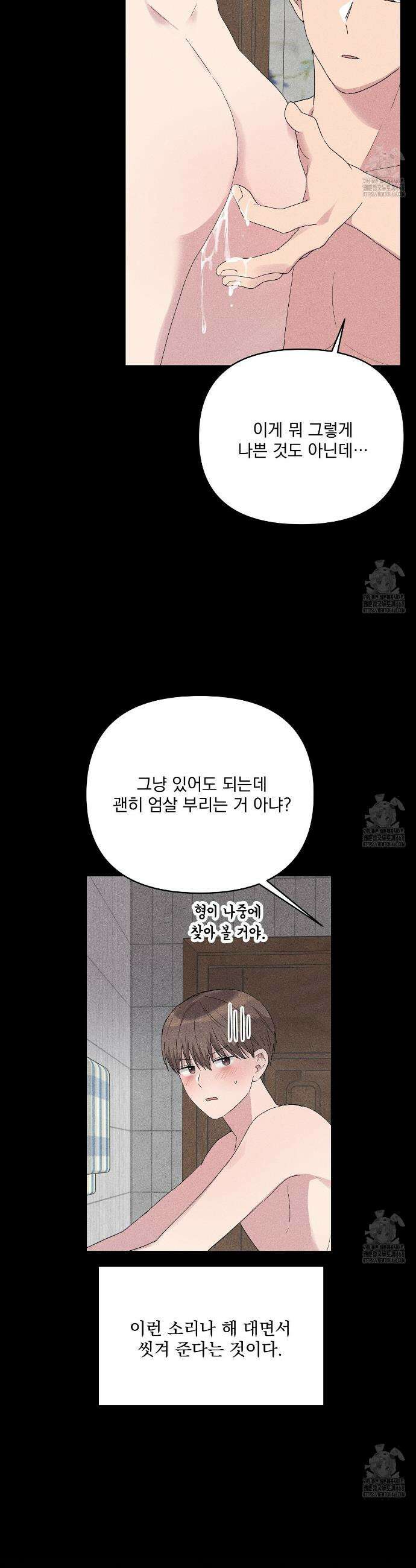 치치 시리즈 52화 27