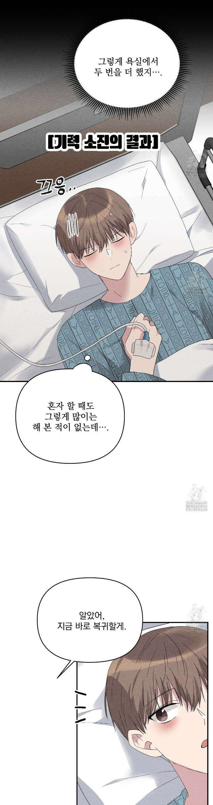 치치 시리즈 52화 28