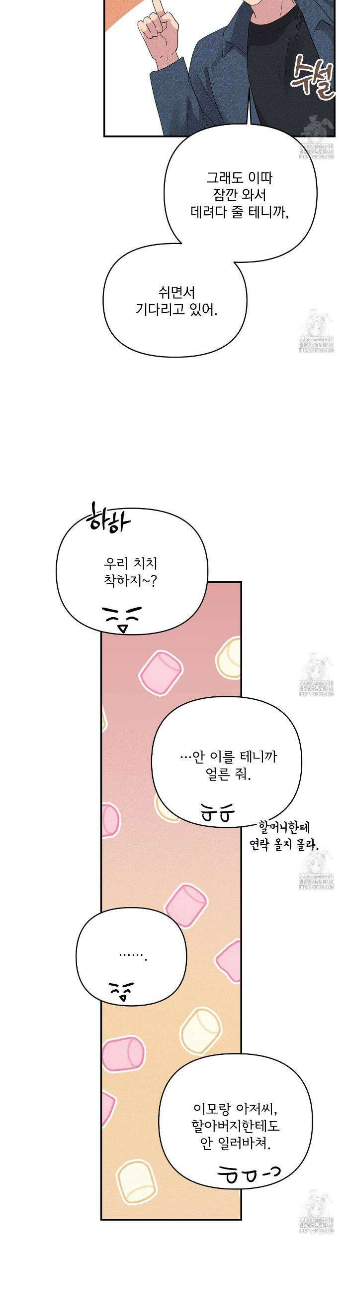 치치 시리즈 52화 31