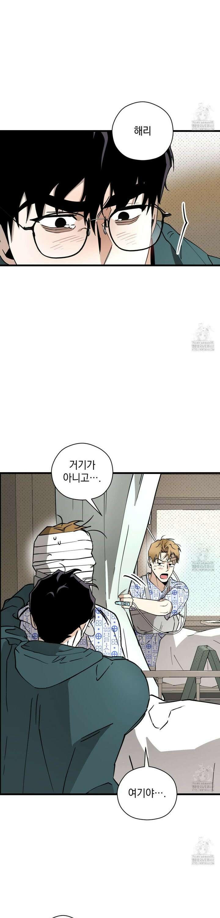 투 마이 발렌타인 (To my valentine) 51화 12