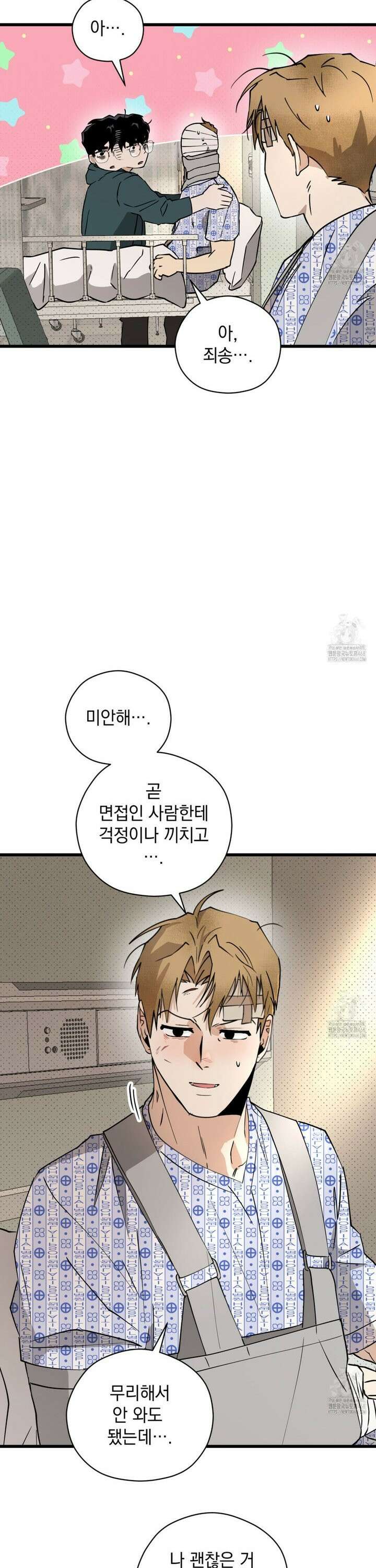 투 마이 발렌타인 (To my valentine) 51화 13