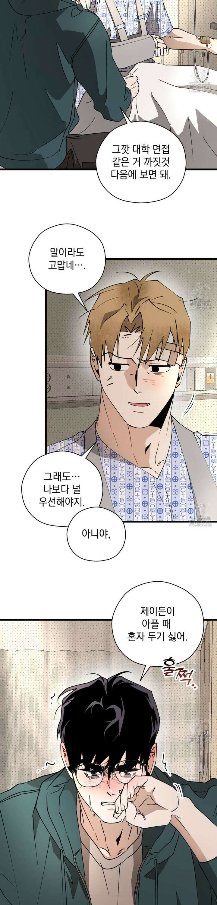 투 마이 발렌타인 (To my valentine) 51화 15