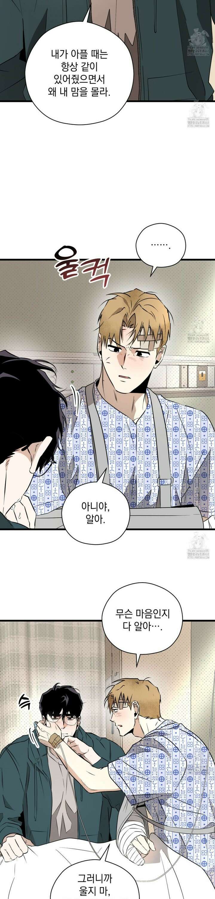 투 마이 발렌타인 (To my valentine) 51화 16