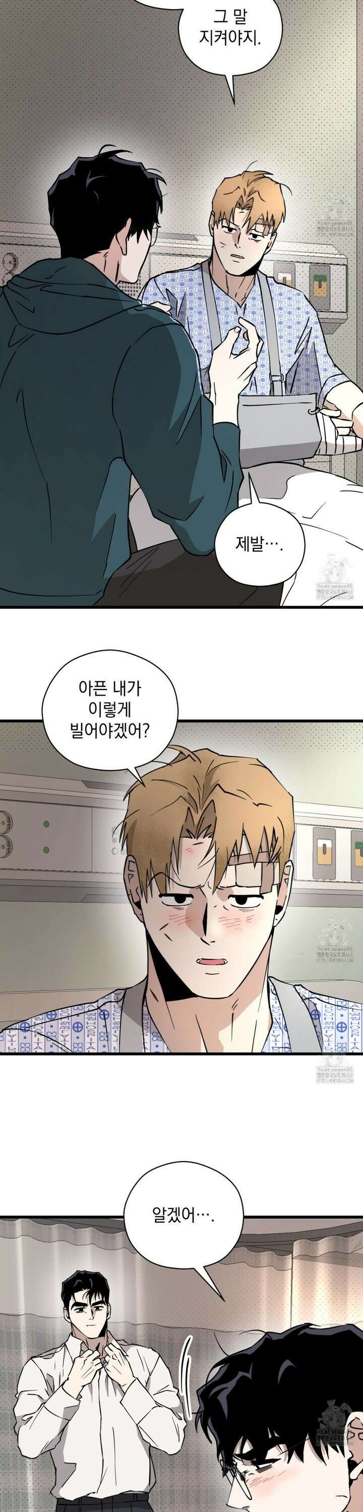 투 마이 발렌타인 (To my valentine) 51화 30