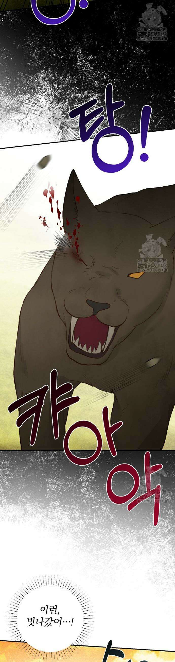 알리사와 마법일기 44화 17