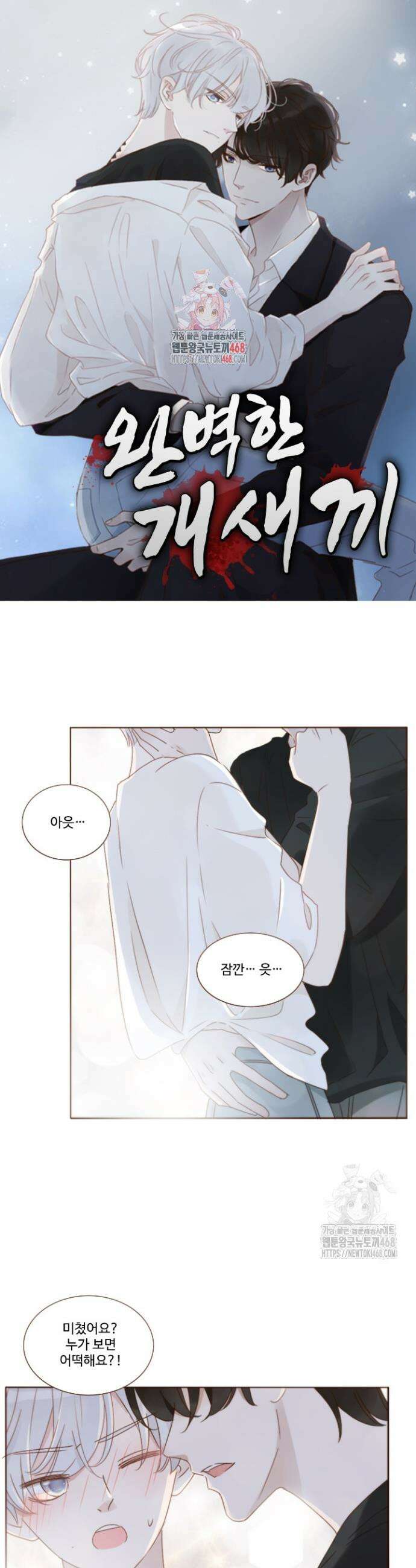 완벽한 개새끼 95화 1