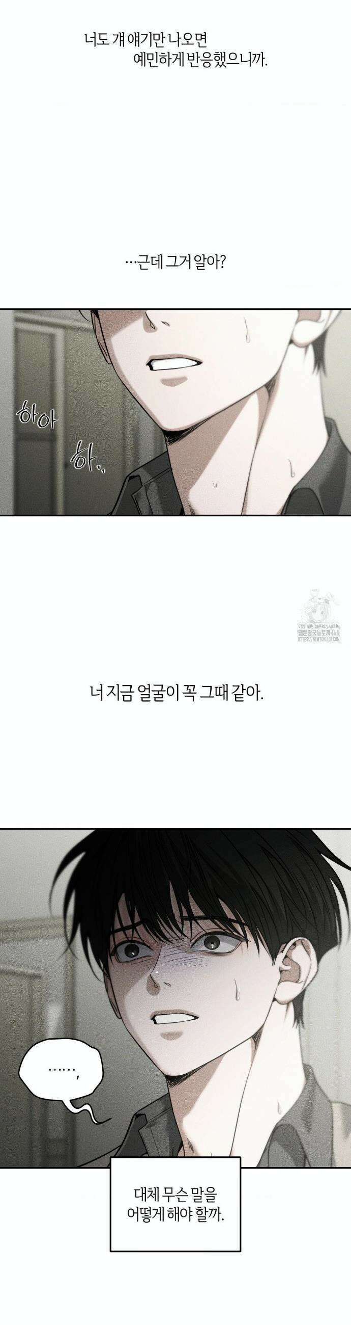 디어, 테디베어 46화 4