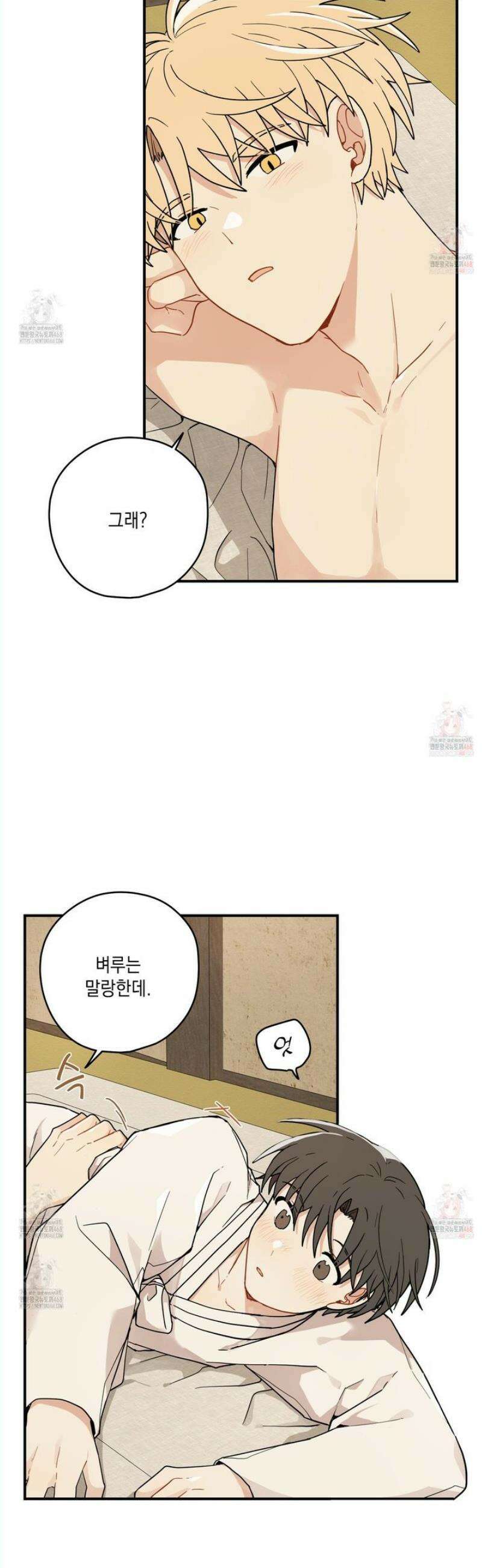 개나리가 떨어진 길 81화 7