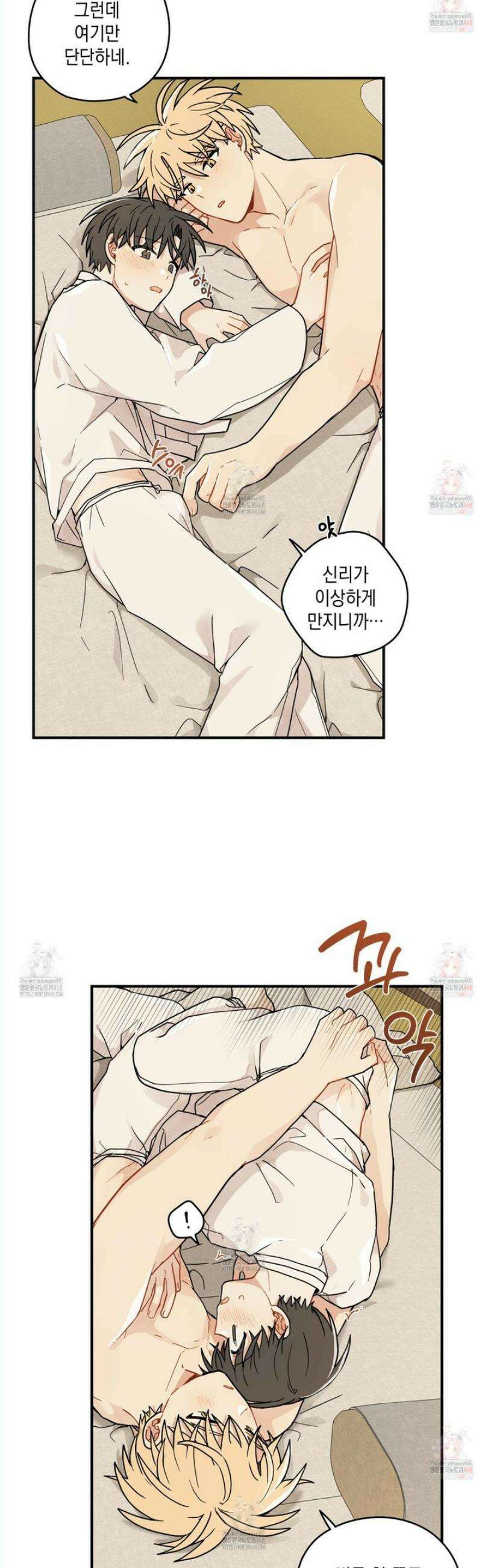 개나리가 떨어진 길 81화 9