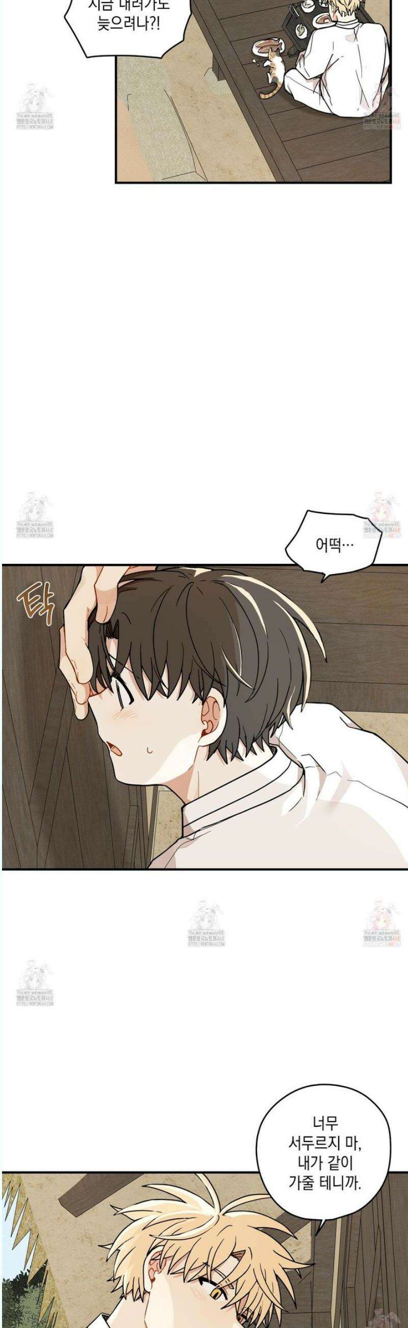 개나리가 떨어진 길 81화 28