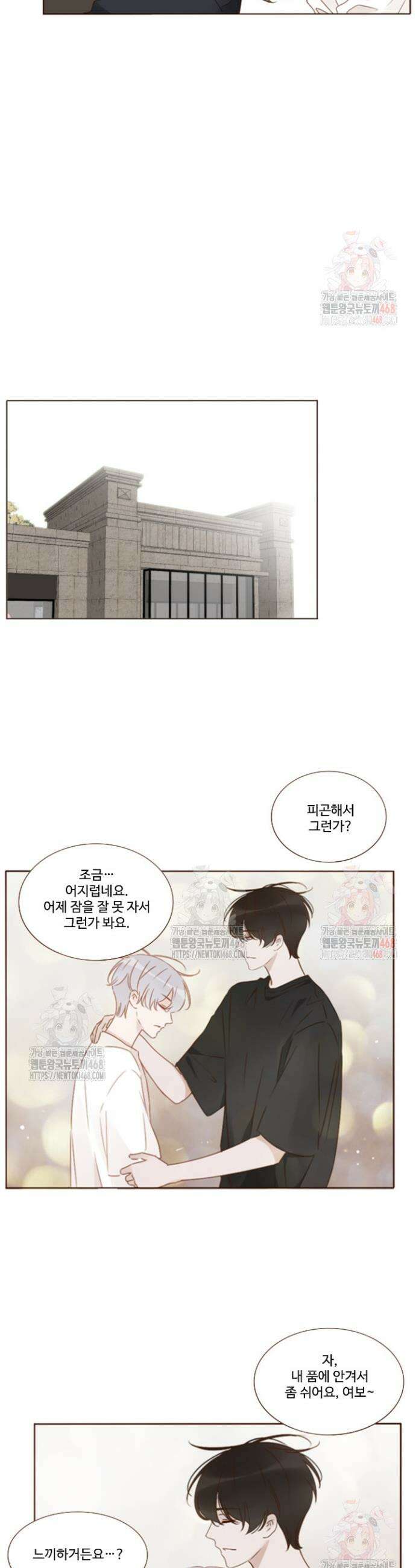 완벽한 개새끼 98화 2