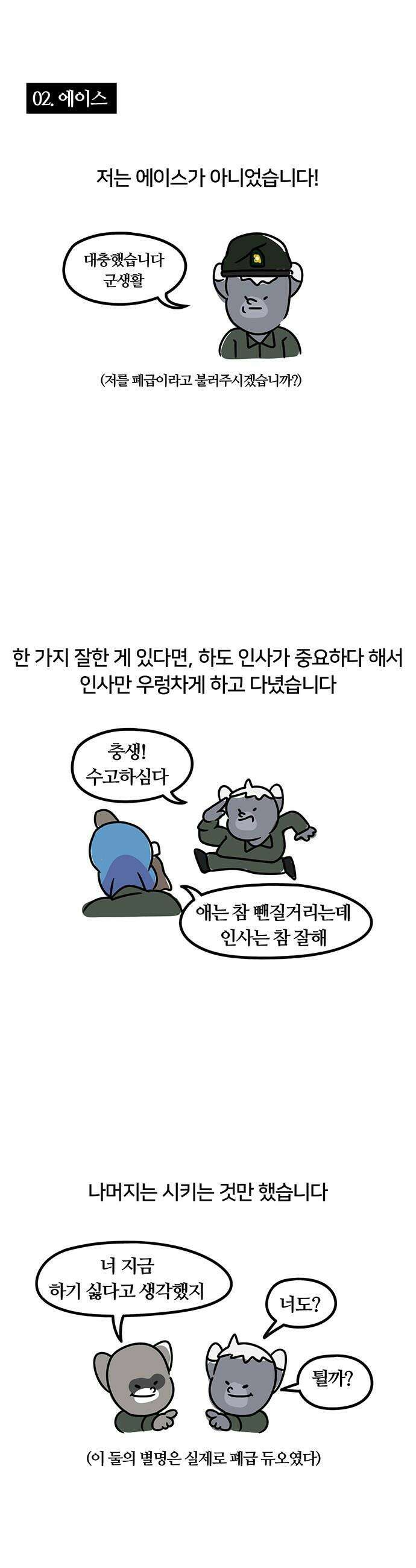 서툰 군인 - 서툰 군인 후기 3
