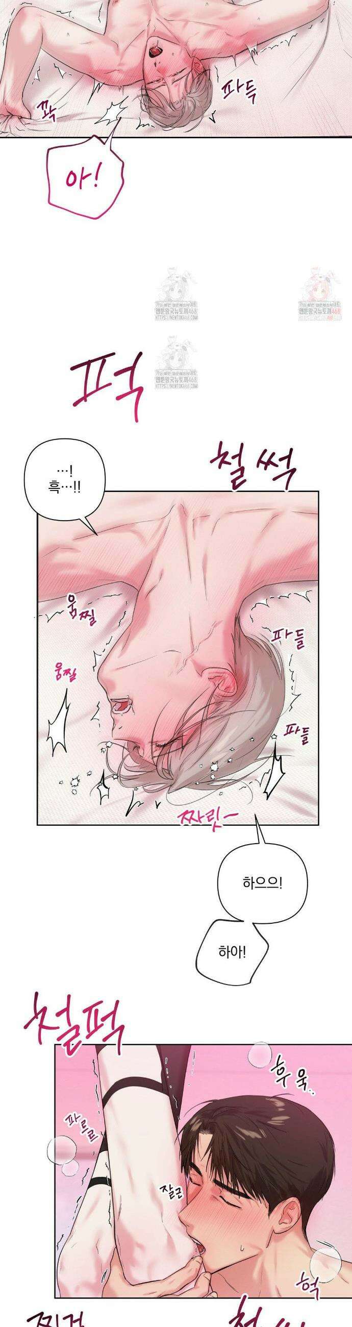 뻐꾸기는 둥지를 떠나지 않는다 13화 5