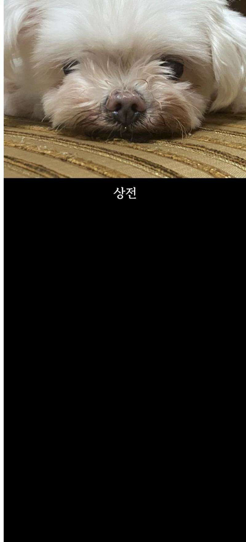 개집사 85화: 상전 14
