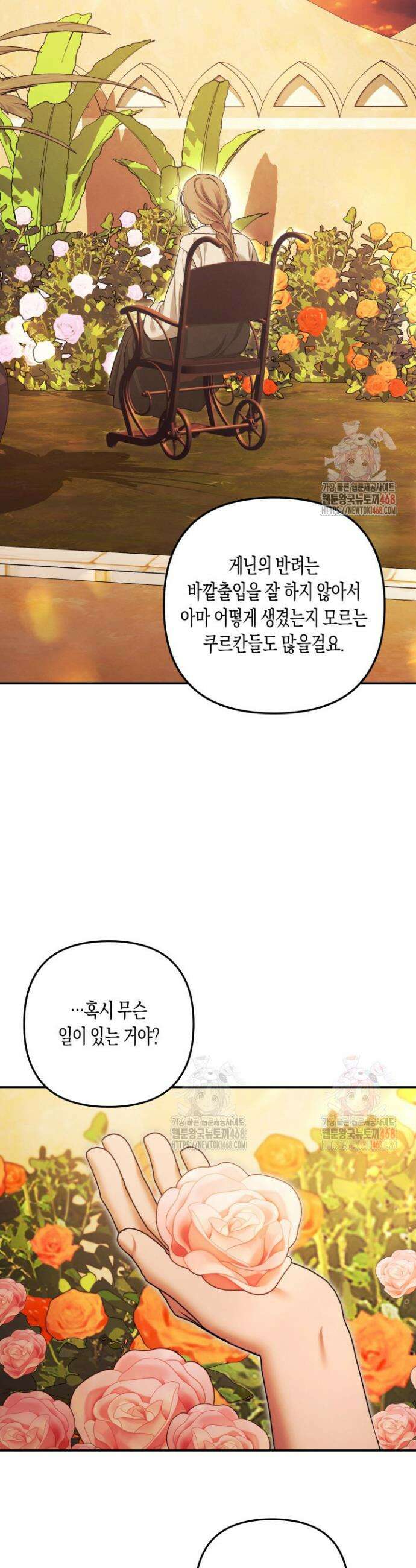 약탈혼 (완전판) 66화 29