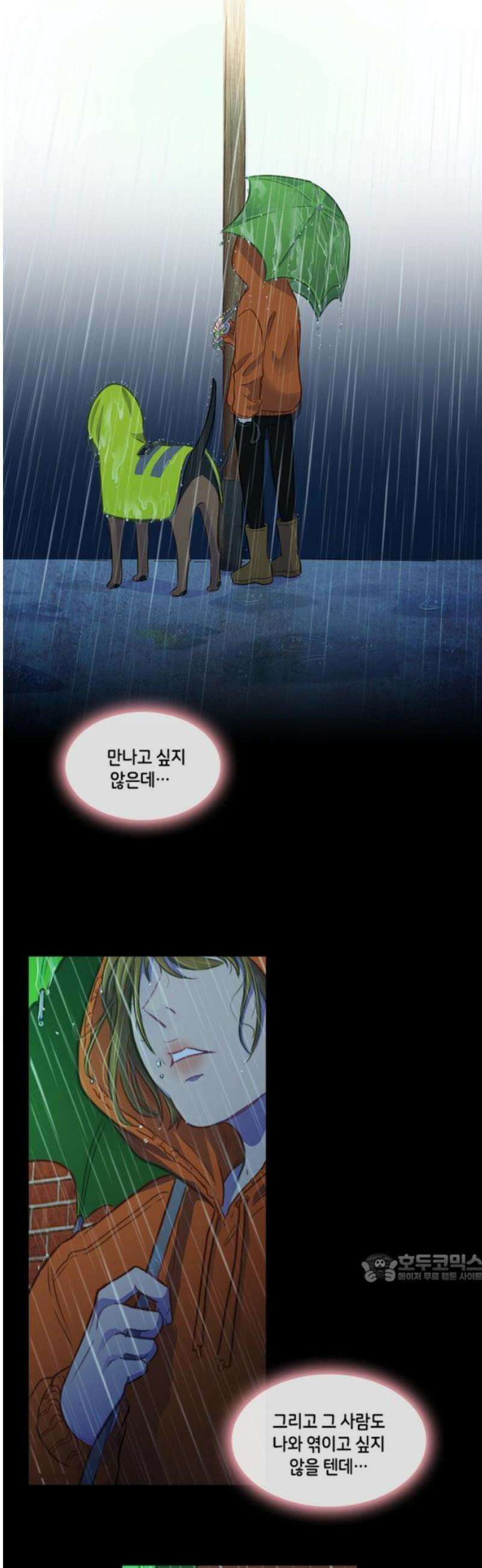 너랑 걷는 개 좋아 14화 2