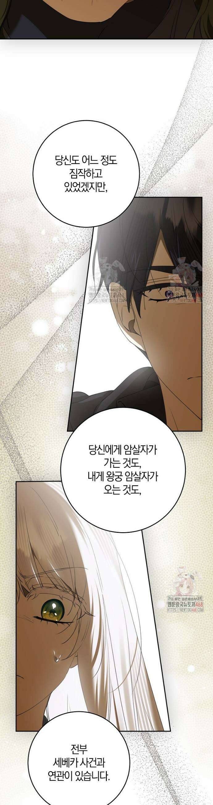 마녀의 아들을 지키는 이유 79화 6