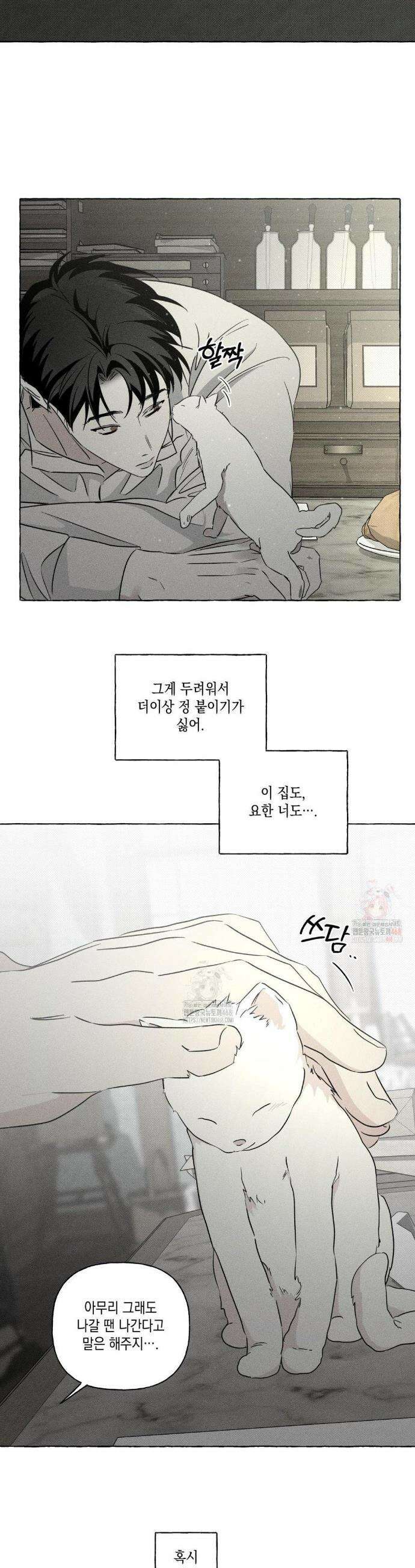 뼈와 꽃잎 47화 28