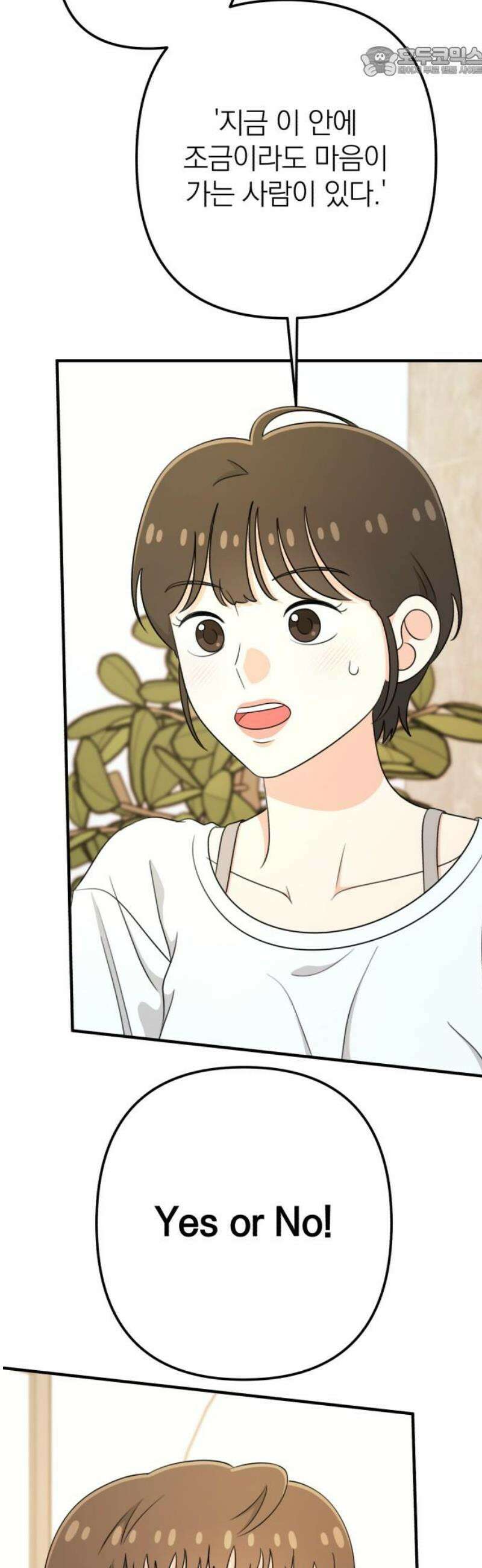 솔로스쿨 55화 52