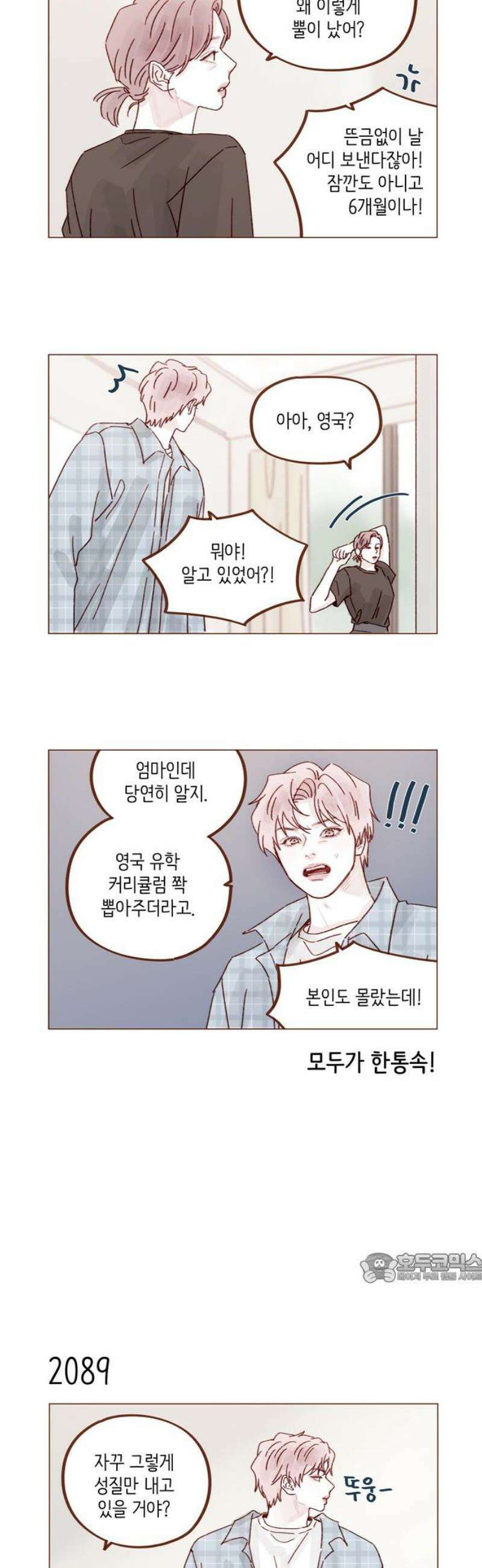 홍시는 날 좋아해 319화 : 여자 때문이니 2