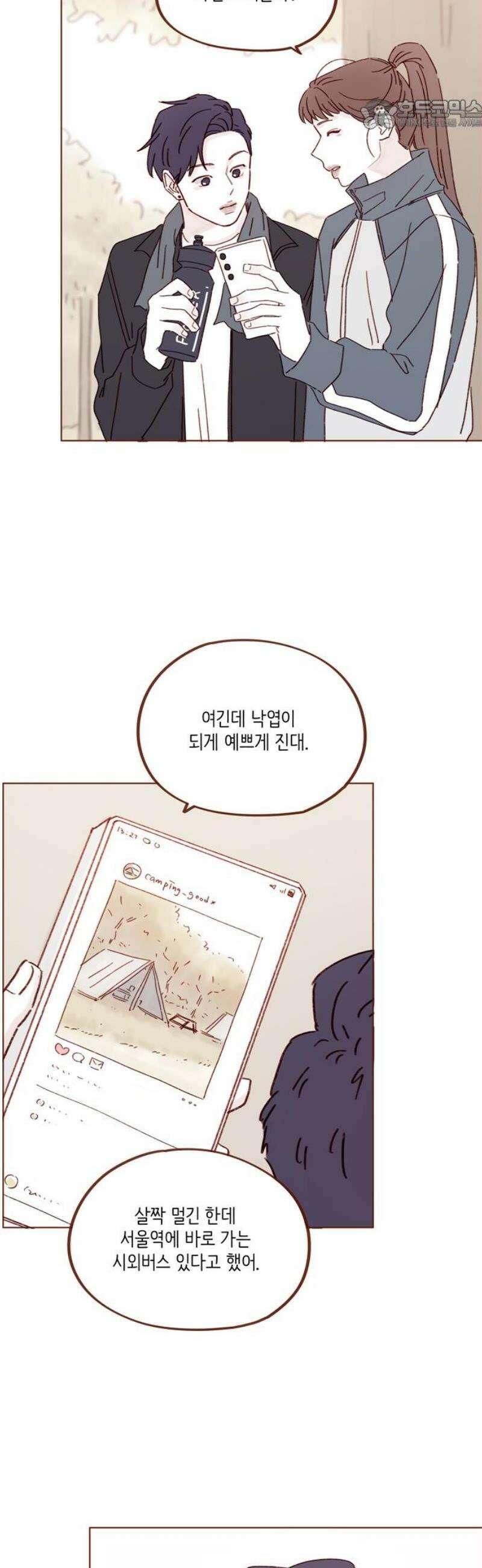 홍시는 날 좋아해 319화 : 여자 때문이니 22