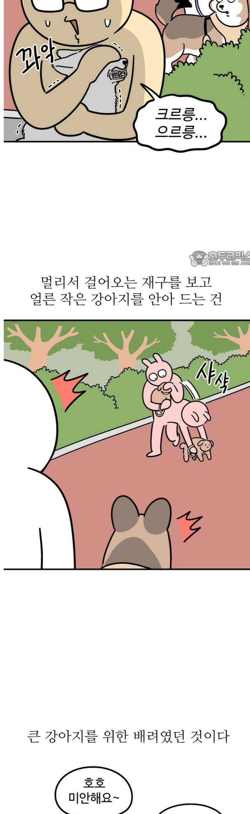 노곤하개 쇼츠 작은 강아지를 발견하면 4