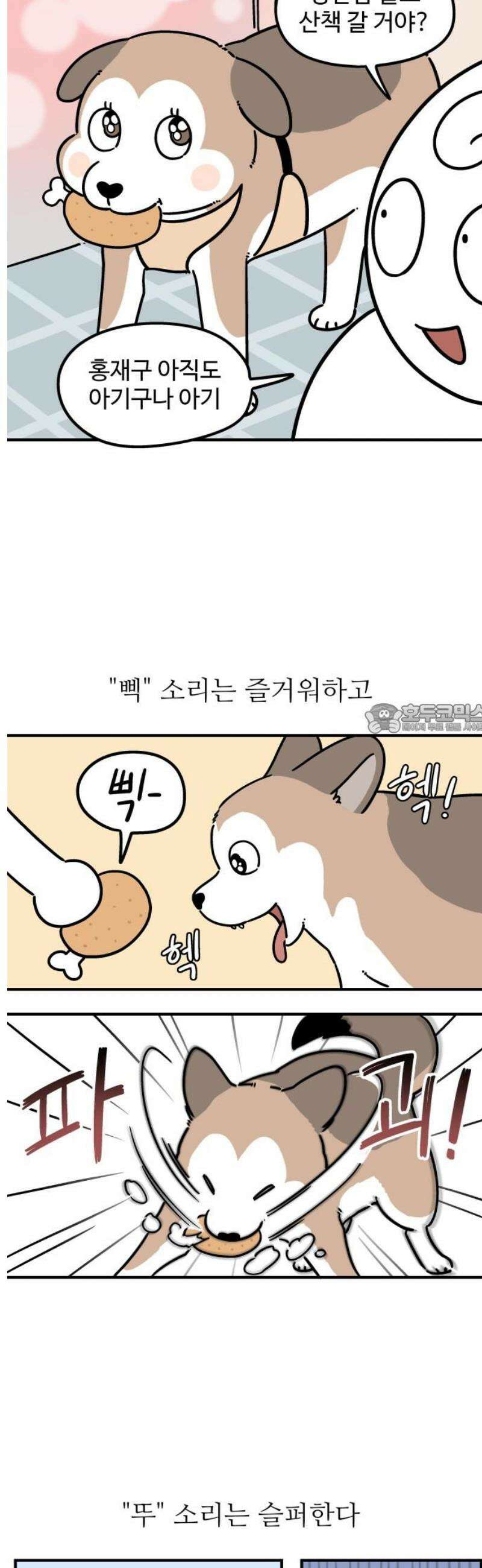 노곤하개 쇼츠 작은 강아지를 발견하면 6