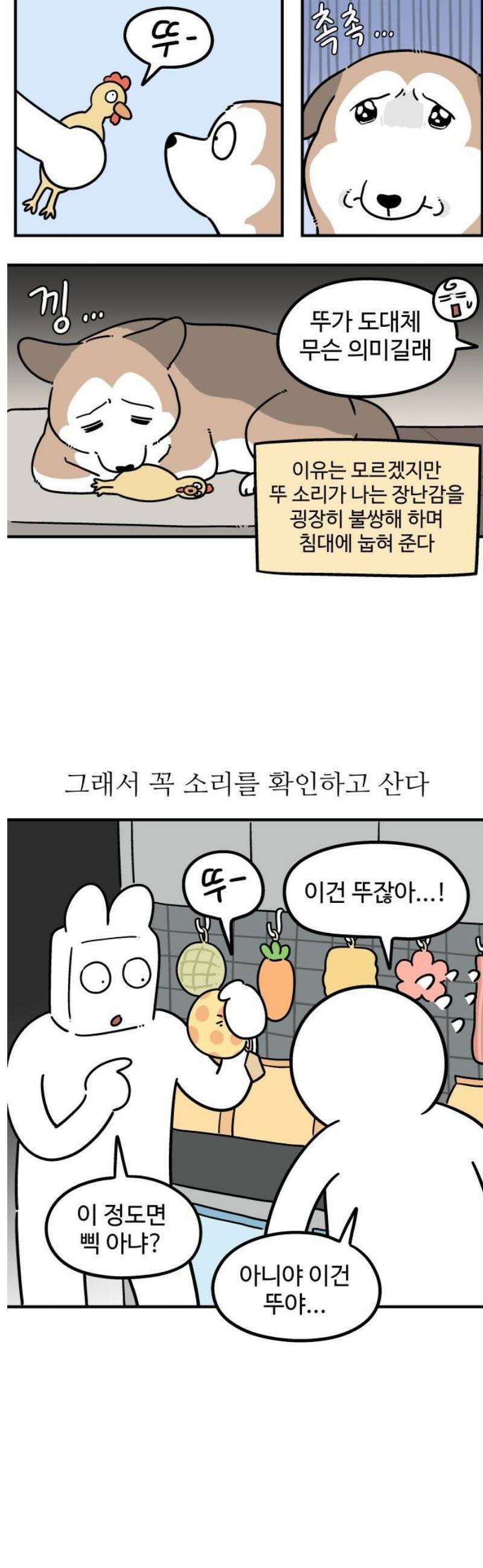 노곤하개 쇼츠 작은 강아지를 발견하면 7