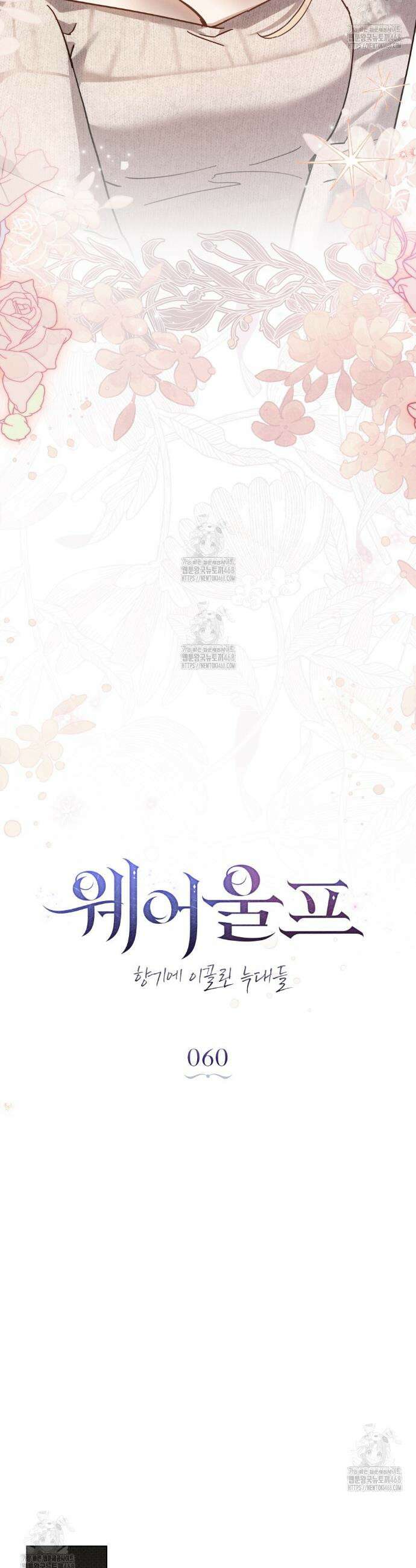 웨어울프 : 향기에 이끌린 늑대들 60화 11