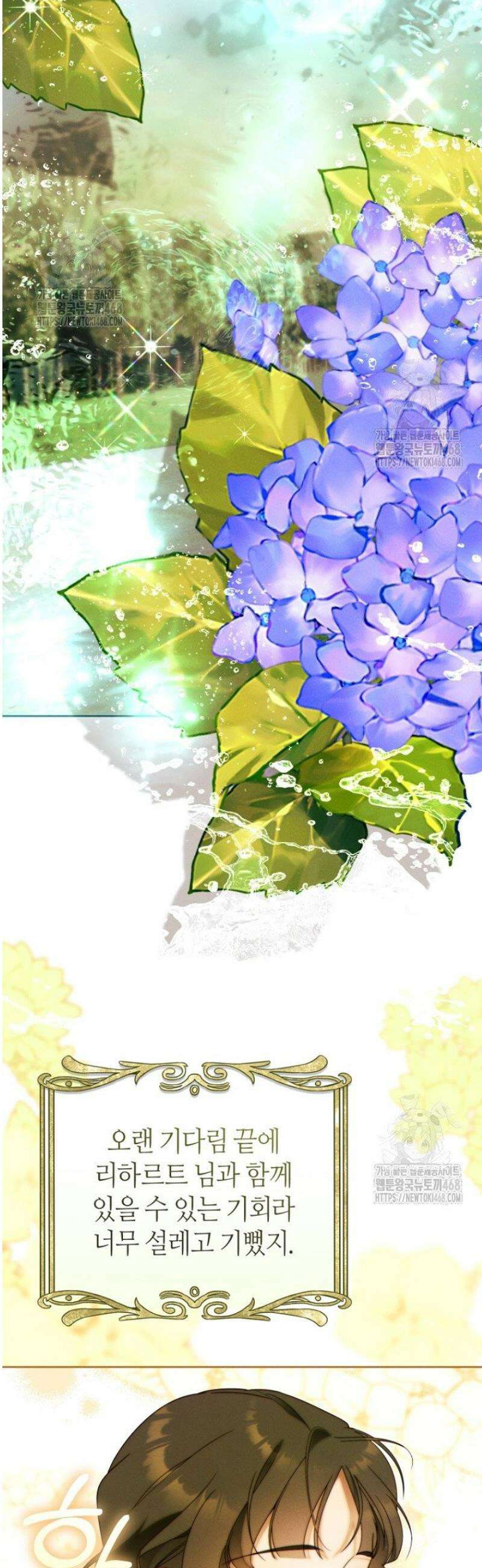 이 결혼은 반드시 성공합니다 38화 36