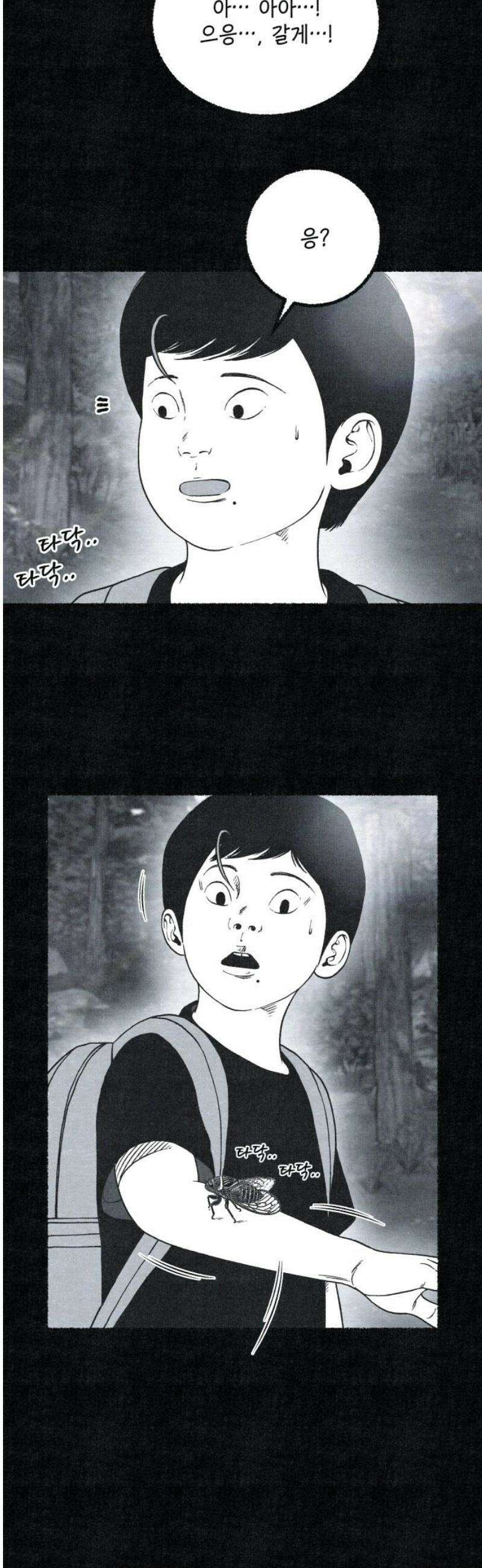 벌집 77화 5