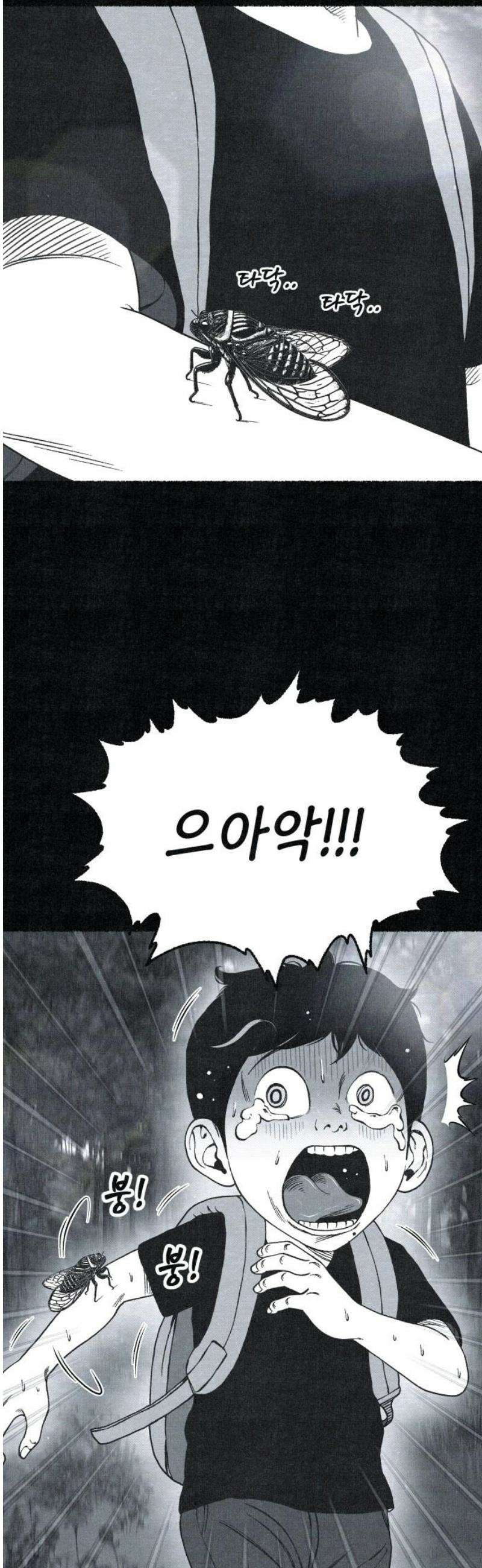 벌집 77화 6