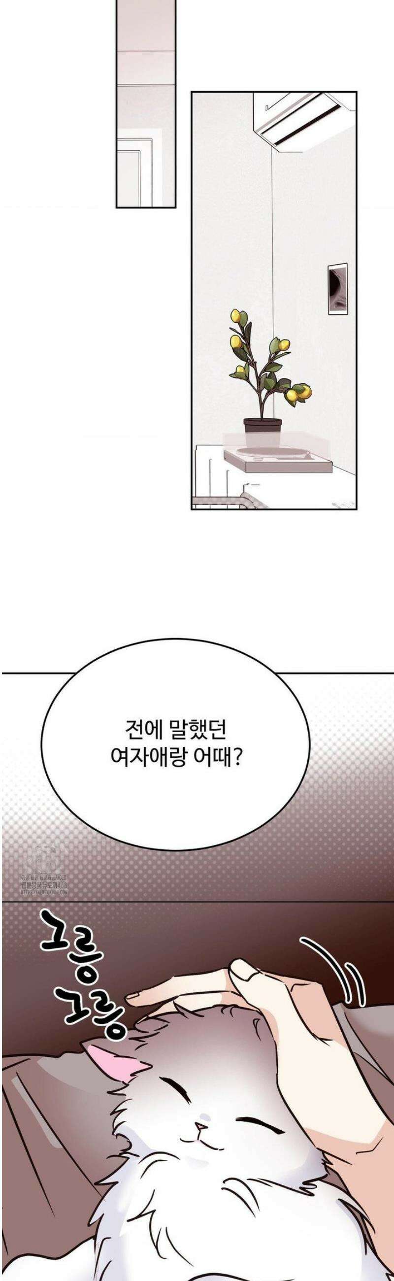타의적 로맨스 37화 25