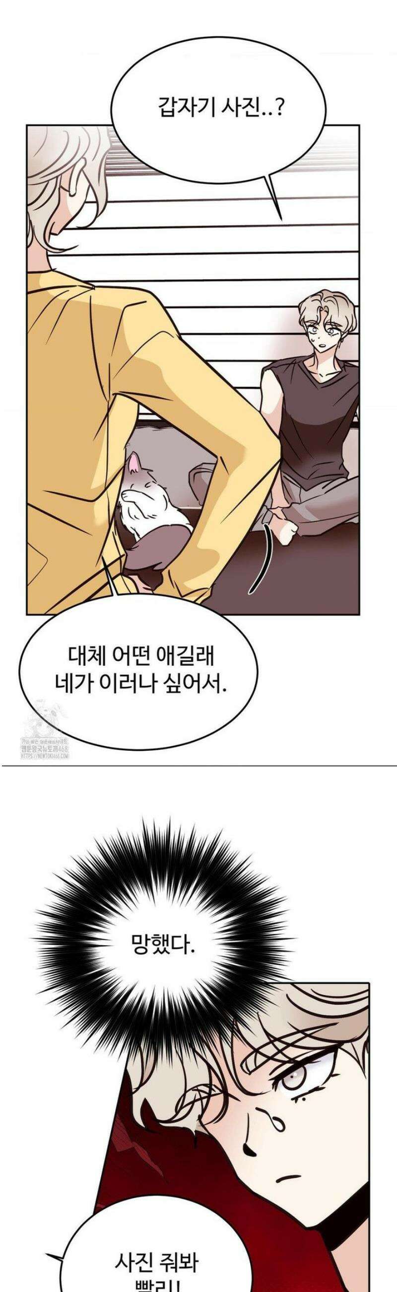 타의적 로맨스 37화 34