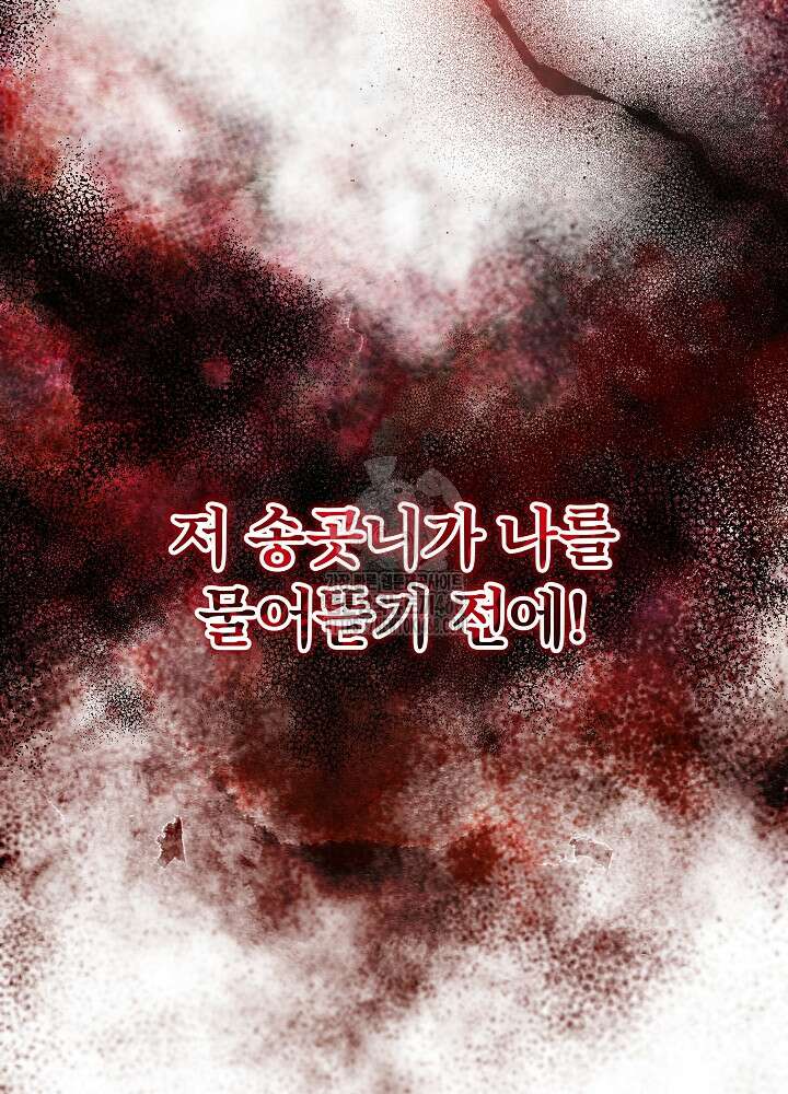 늑대 저택의 사랑받는 새아가 42화 11